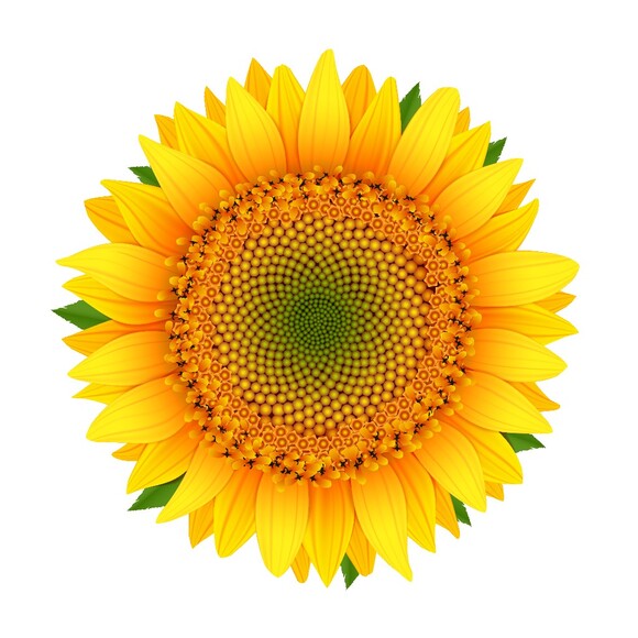 sunbeamchic